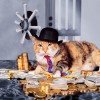 Коты, выигравшие в лотерею